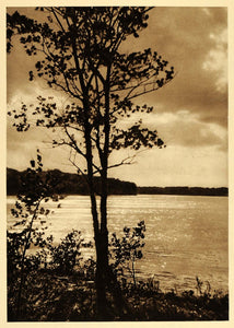 1926 Lake Killarney Manitoba Province Canada Tree Lac - ORIGINAL CAN2