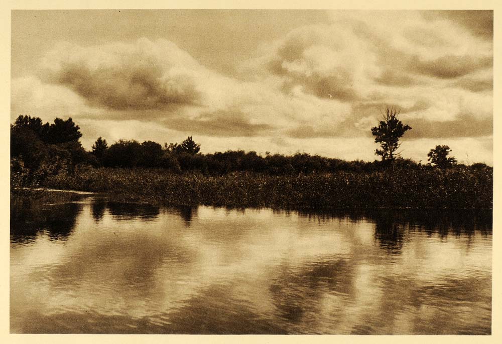 1926 Summer Scene Stream Trees Alberta Province Canada - ORIGINAL CAN2