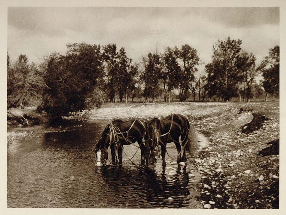 1926 Landscape Horses River Alberta Province Canada - ORIGINAL CANADA