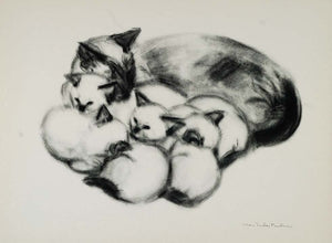 1956 Print Cat Kitten Blue Point Siamese Clare Turlay Newberry Art Animal Artist