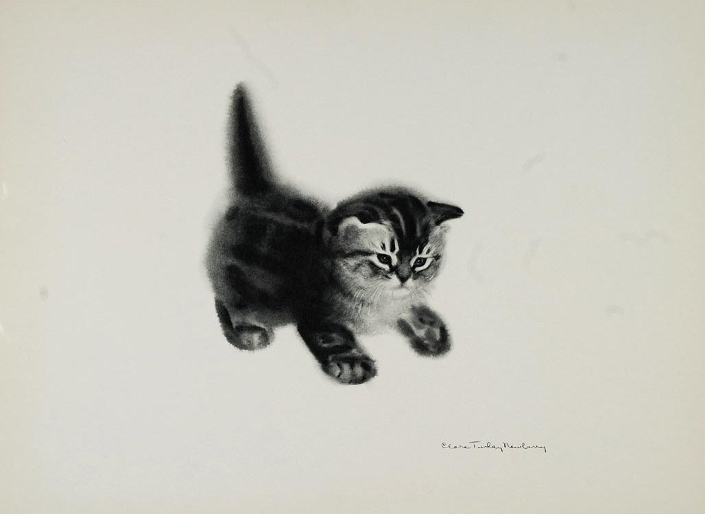 1956 Print Cat Tabby Persian Female Kitten Clare Turlay Newberry Animal Artist