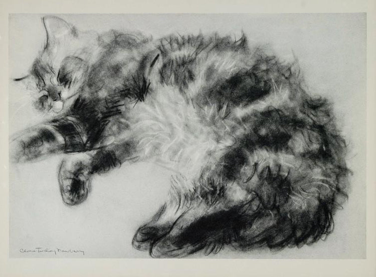 1956 Print Tabby Persian Male Sleeping Cat Clare Turlay Newberry Animal Artist