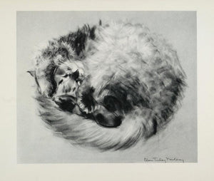1956 Print Tabby Persian Female Cat Clare Turlay Newberry Art Animal Artist