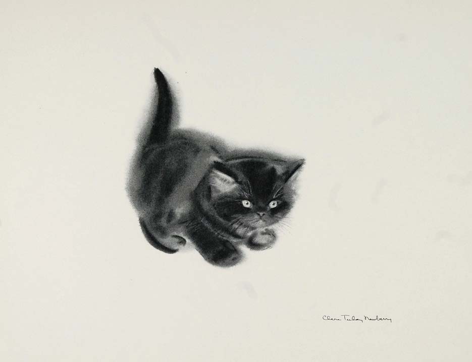 1956 Print Cat Persian Male Kitten Clare Turlay Newberry Art Animal Artist