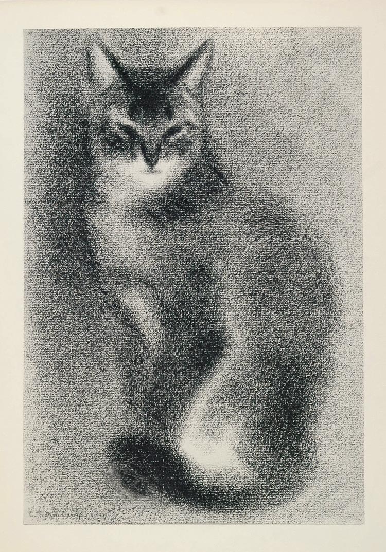 1956 Print Cat Abyssinian Male Kitten Clare Turlay Newberry Art Animal Artist