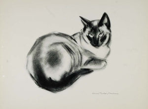 1956 Print Seal Point Siamese Female Cat Clare Turlay Newberry Art Animal Artist