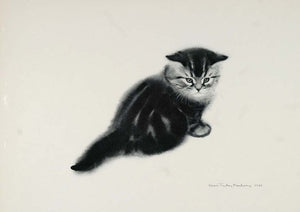 1956 Print Cat Tabby Persian Male Kitten Clare Turlay Newberry Art Animal Artist