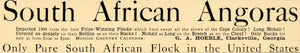 1905 Ad South African Angoras Flock Hoerle Clarksville - ORIGINAL CC1
