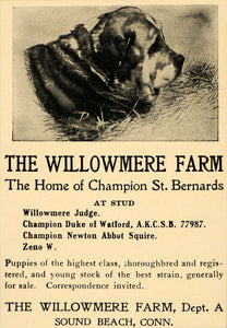 1905 Ad Champion St Bernard Willowmere Farm Sound Beach - ORIGINAL CC1