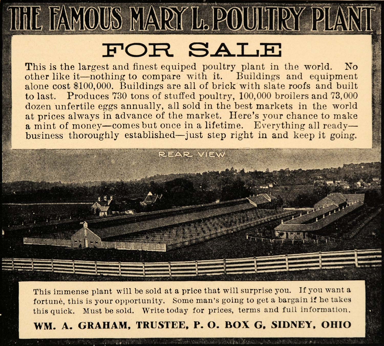 1905 Ad Famous Mary L Poultry Plant Will Graham Sidney - ORIGINAL CC1