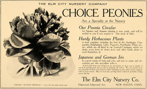 1905 Ad Elm City Nursery Company Peony Francis Ortegal - ORIGINAL CC1