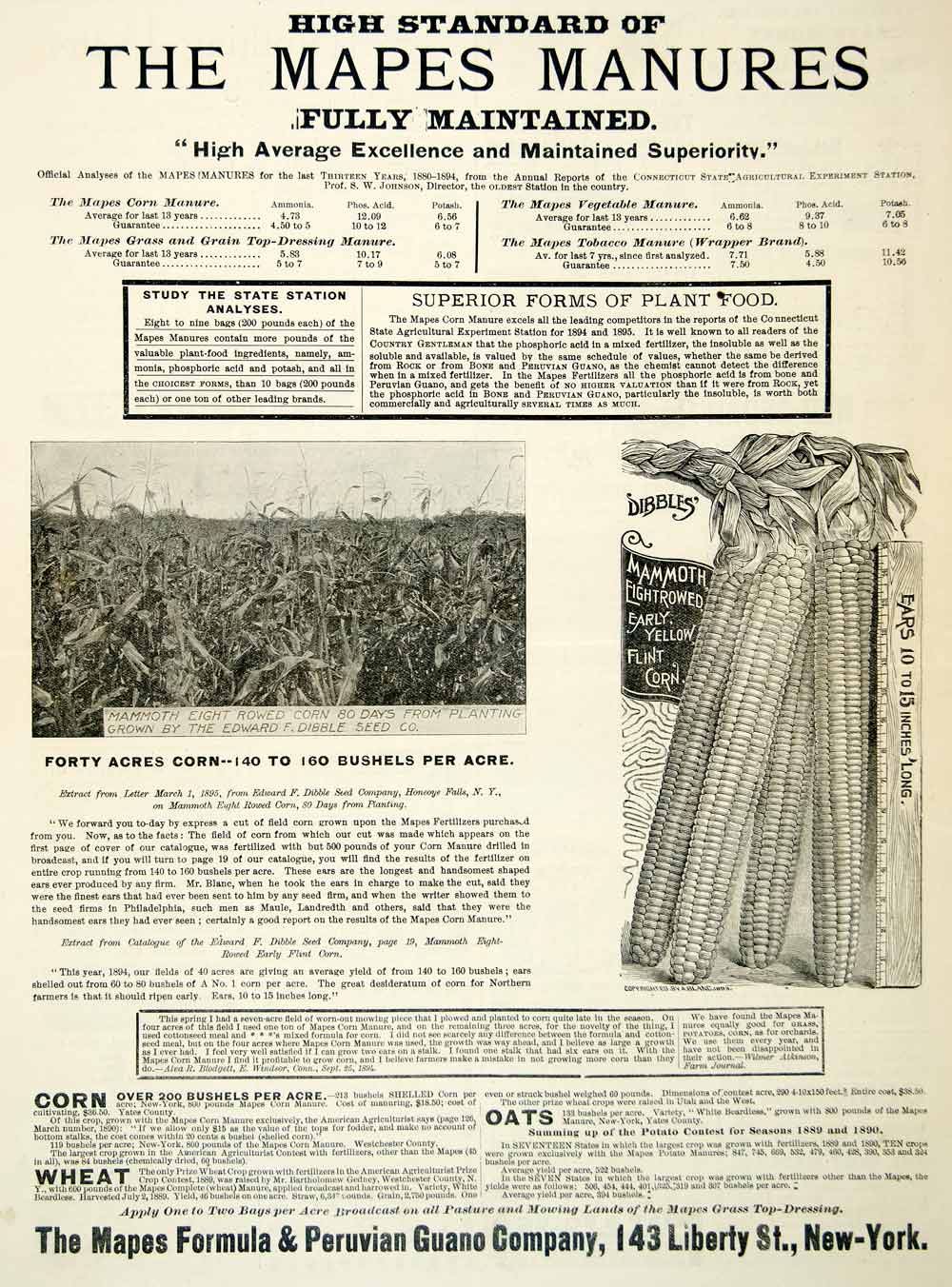 1895 Ad Mapes Fertilizer Manure Mammoth Yellow Flint Corn 143 Liberty St NY CCG1
