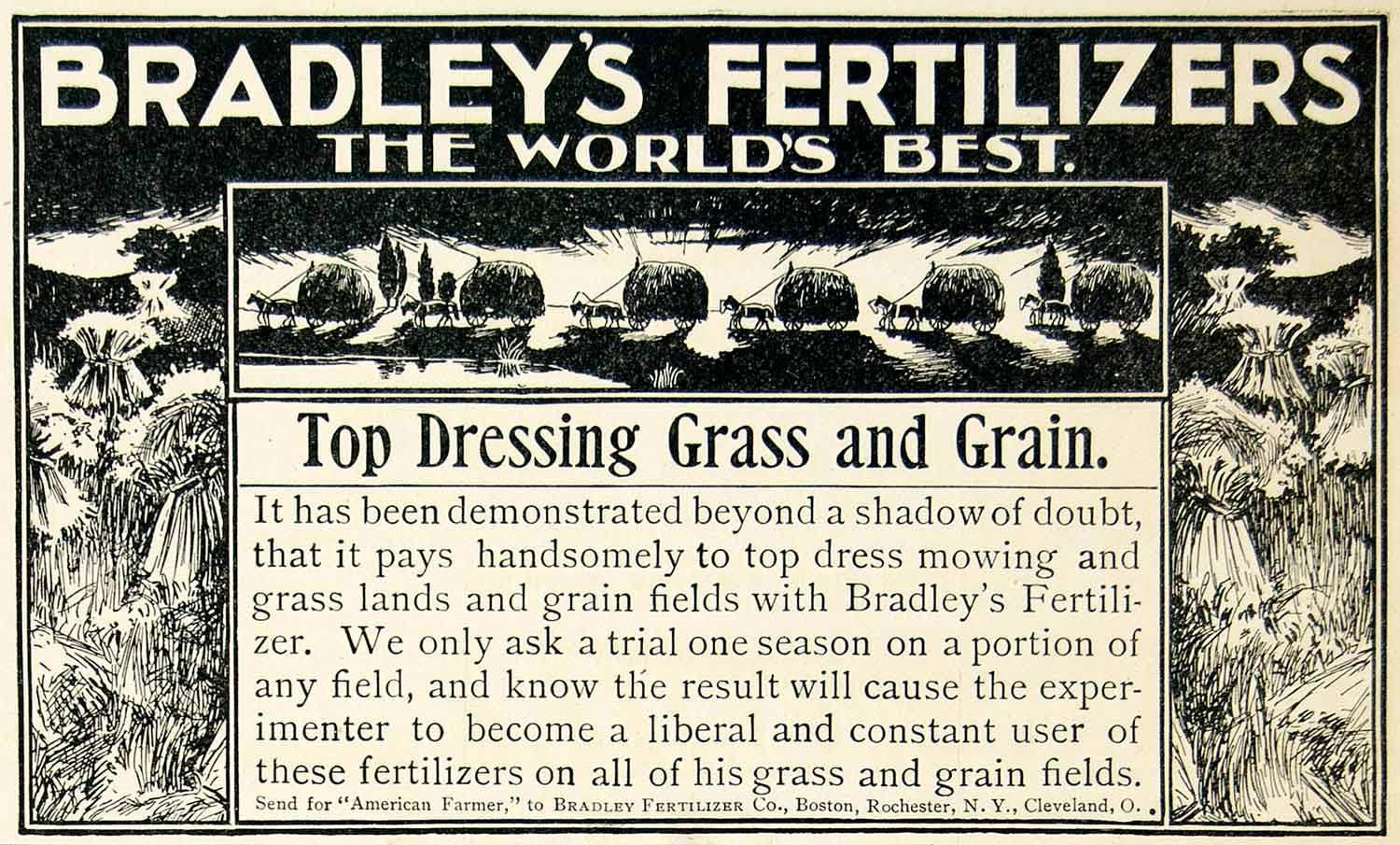 1896 Ad Bradley Fertilizer Top Dressing Grass Grain Farm Manure Rochester CCG1
