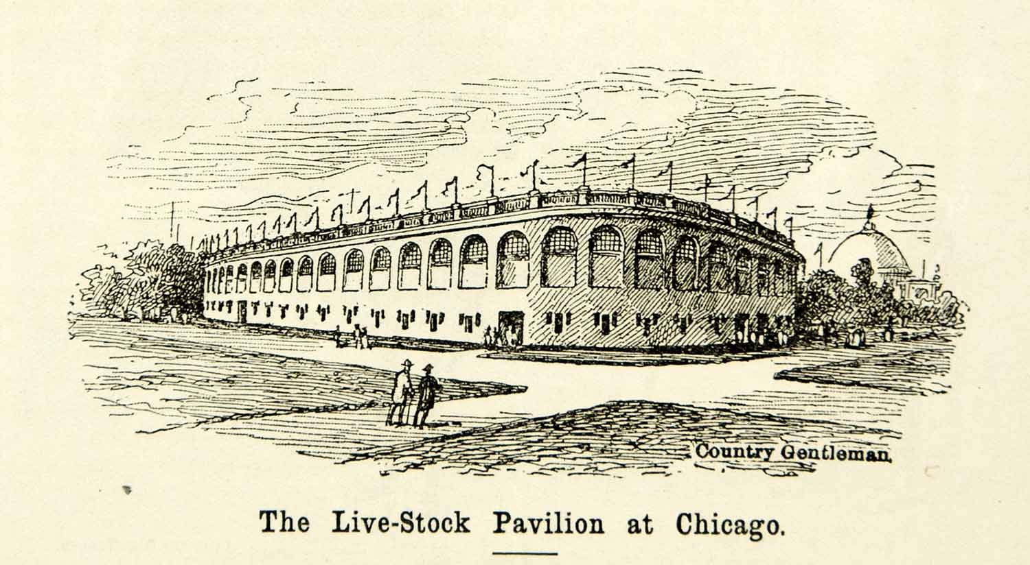 1893 Wood Engraving Livestock Pavilion Columbian Exposition Chicago Worlds CCG2