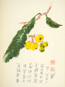 1953 Lithograph Spray Medlars Chang Ta-Chien Chinese Leaf Bough Fruit Yellow Art