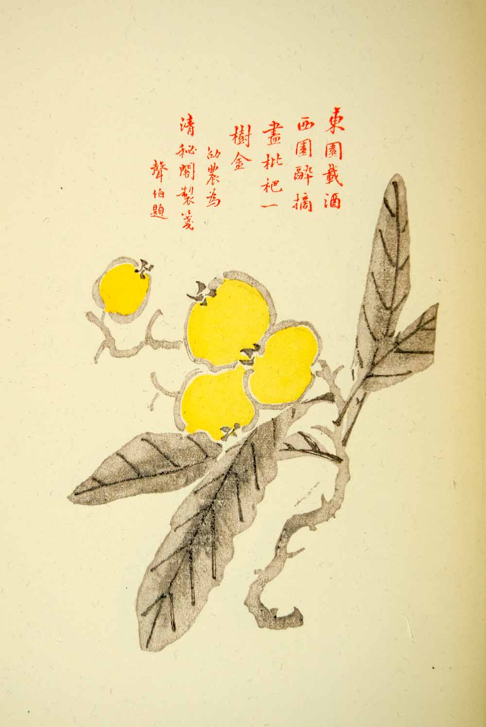 1953 Lithograph Spray Medlar Yellow Gray Chinese Art Leaves Fruit Botanical Twig