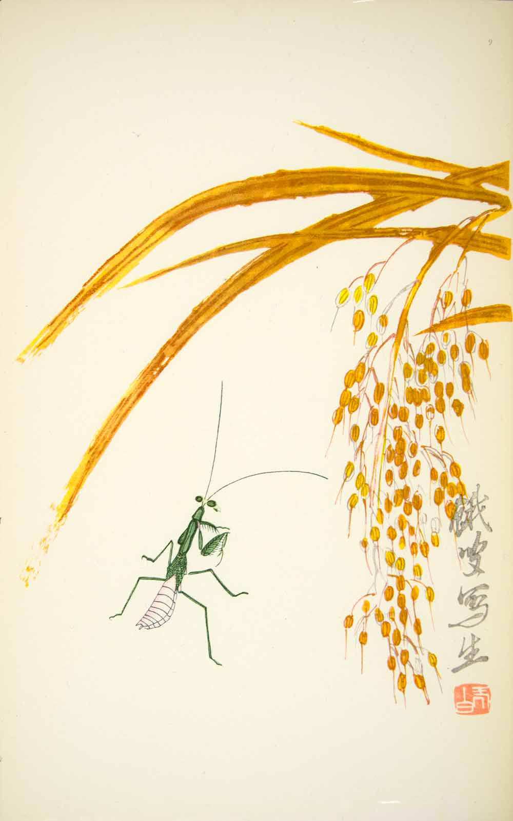 1953 Lithograph Chinese Praying Mantis Millet Grain Nature Grass Golden Cricket - Period Paper
