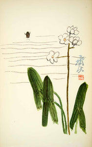 1953 Lithograph Chi Pai-Shih Chinese Water Beetle Arrowhead Flower Bug Stem Art