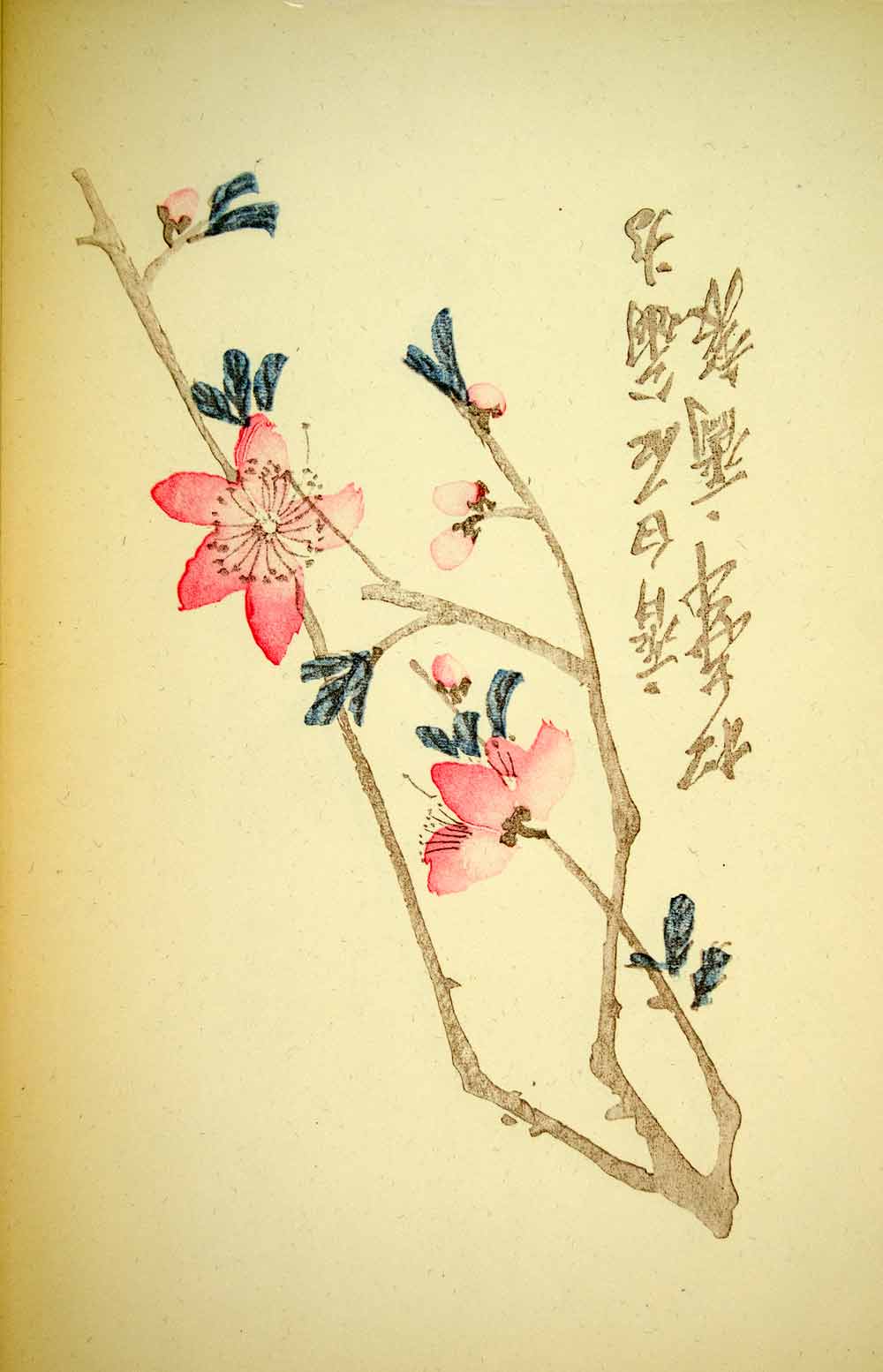 1953 Lithograph Peach Blossoms Chi Pai-Shih Flower Bud Bloom Twig Sprig Pink Art