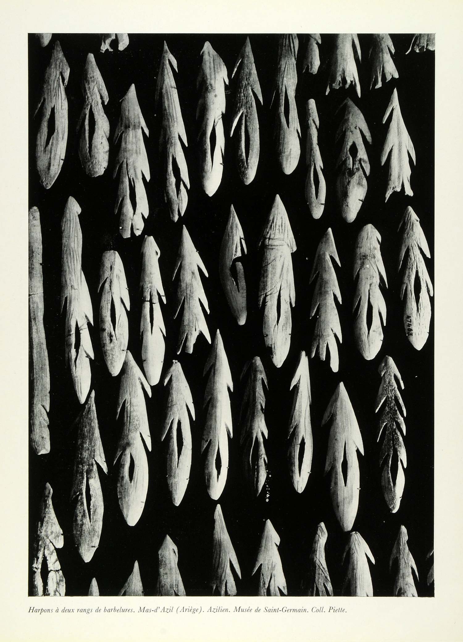 1953 Print Barb Harpoons Prehistoric Azilien Artifact France Musee Saint CDA1