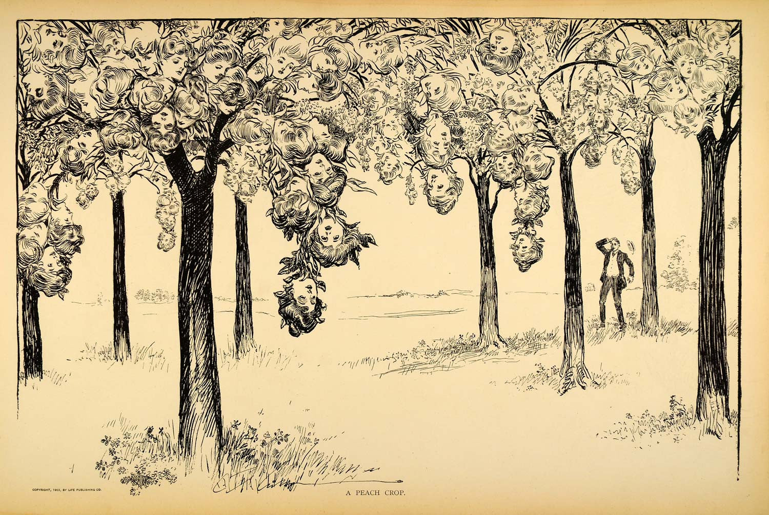1906 Print Charles Dana Gibson Girls Peach Crop Victorian Satire Humor Drawing - Period Paper
