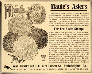 1907 Ad William Henry Maule Seed Book Asters Flowers - ORIGINAL ADVERTISING CG1