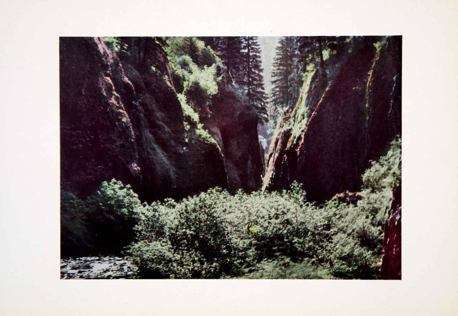 1915 Color Print Oneonta Gorge Falls Columbia River OR Pacific Northwest CGH1