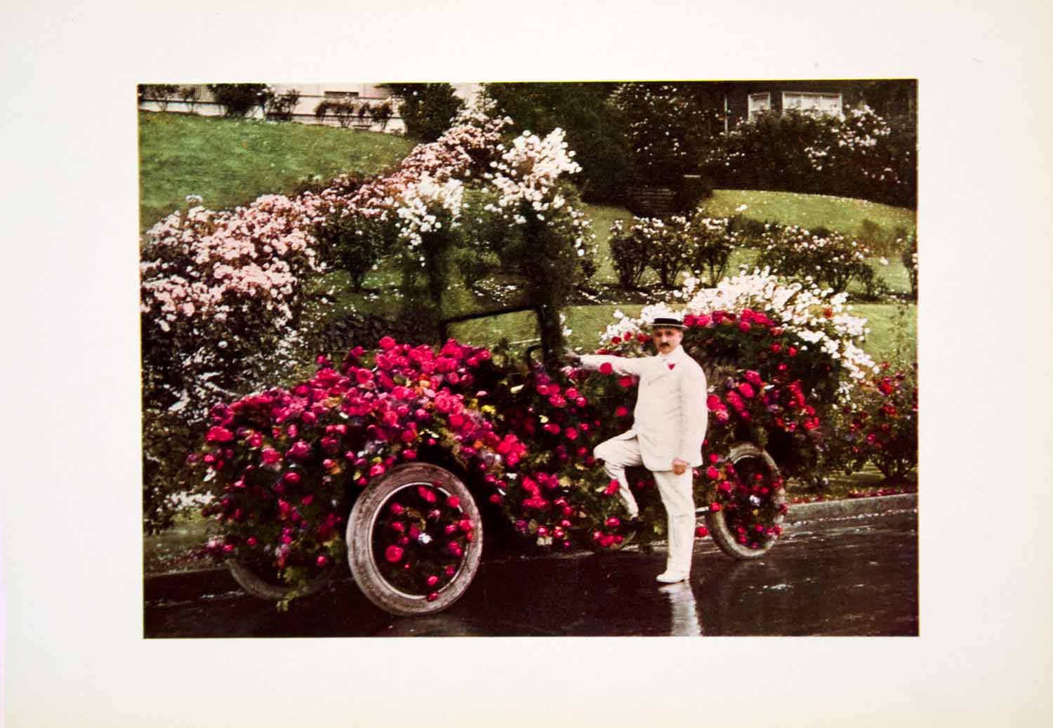 1915 Color Print John B Yeon Portland Rose Carnival Botanical Flower OR Car CGH1