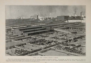 1902 Chicago Union Stock Yards South Halsted St. Print ORIGINAL HISTORIC IMAGE