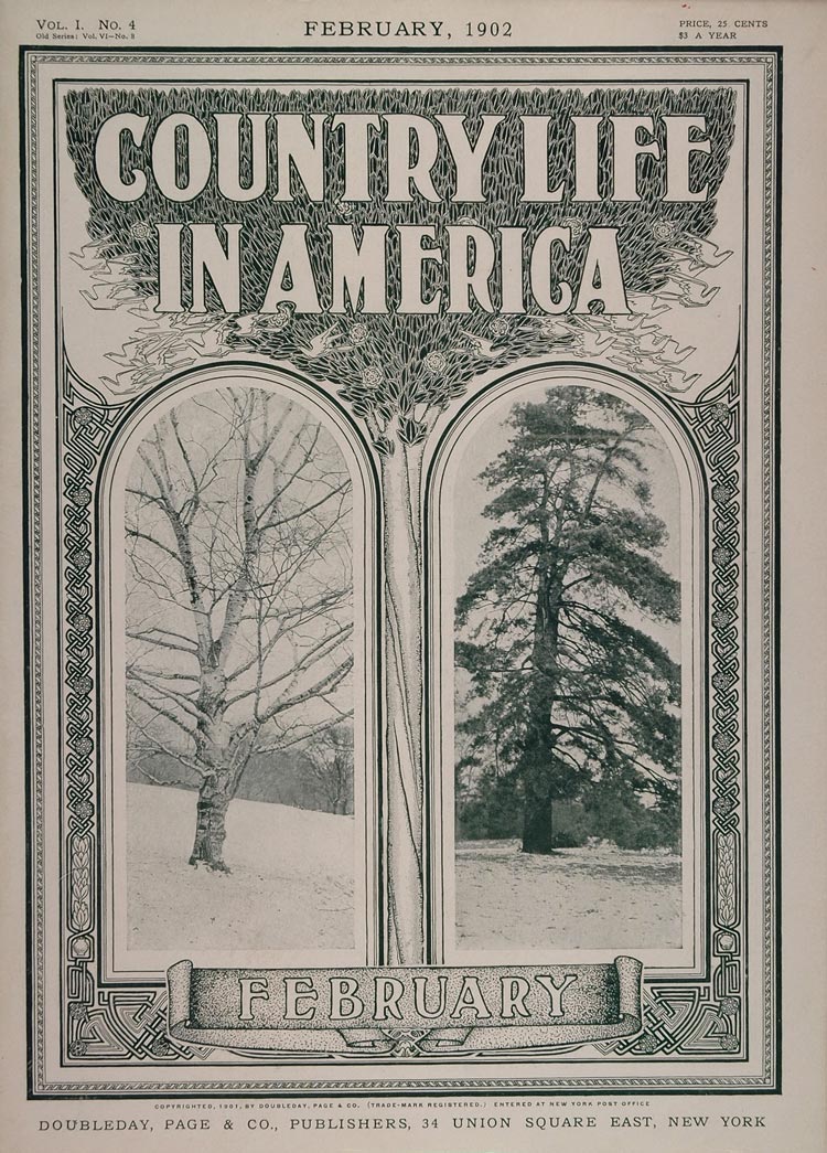 What's a magazine worth? Country Life