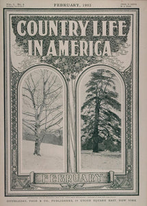 1902 Country Life in America COVER February Trees Snow - ORIGINAL CL1