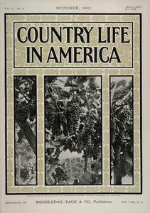 1902 Country Life in America COVER October Grapes Vine - ORIGINAL CL1