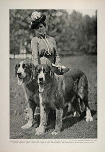 1902 Print St. Saint Bernard Dogs Our Bobs Marvel Croft ORIGINAL HISTORIC CL1