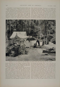 1902 Article Vintage Camping Kitchen Redwood California - ORIGINAL CL1