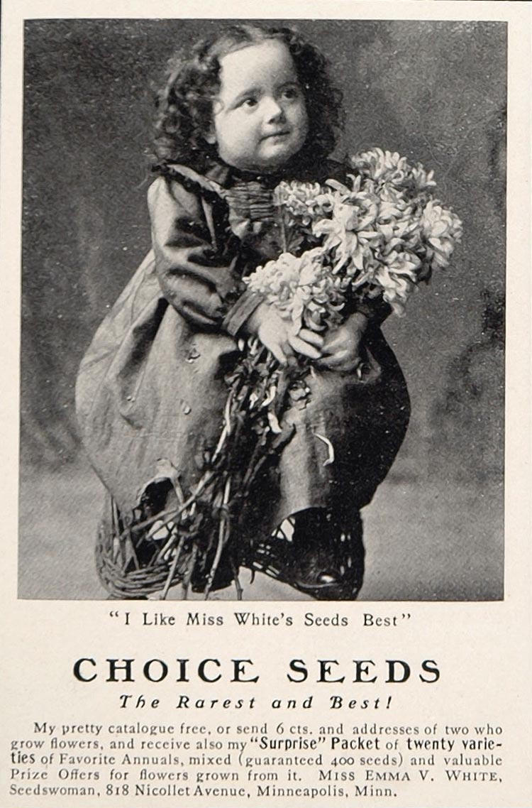1902 Ad Emma V. White Seeds Minneapolis Child Girl NICE - ORIGINAL CL1