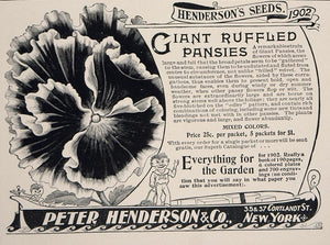 1902 Ad Peter Henderson Seeds Giant Ruffled Pansy NICE - ORIGINAL CL1