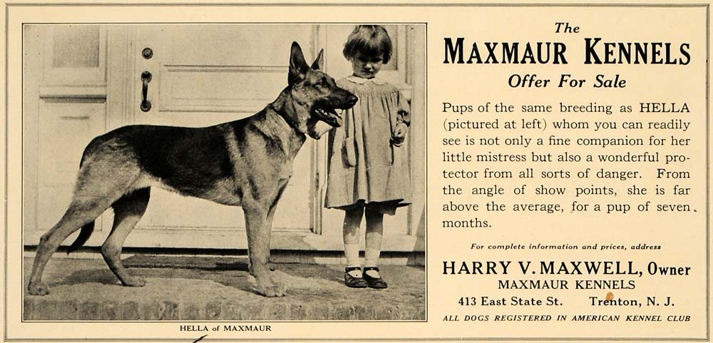 1924 Ad Shepherd Dog Maxmaur Kennels Hella Maxwell Girl - ORIGINAL CL4