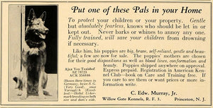 1924 Ad Shepherd Dogs Willow Gate Kennels Edw. Murray - ORIGINAL ADVERTISING CL4