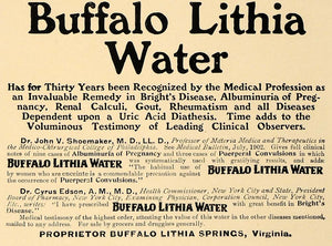 1907 Ad Buffalo Lithia Water Brights Disease Pregnancy - ORIGINAL CL4