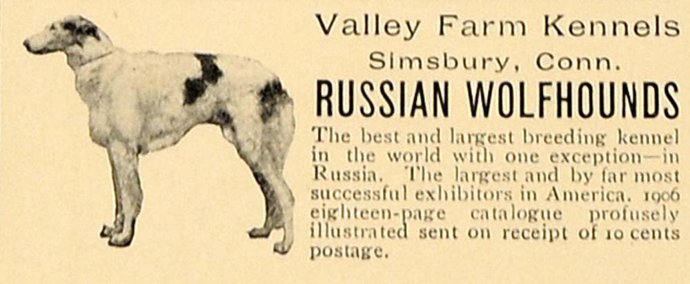 1907 Ad Russian Wolfhound Valley Farm Kennels Simsbury - ORIGINAL CL4 - Period Paper
