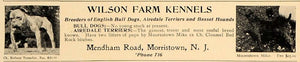 1907 Ad Wilson Farm Kennels English Bull Dogs Airedale - ORIGINAL CL4