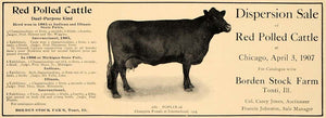 1907 Ad Red Polled Cattle Borden Stock Farm Casey Jones - ORIGINAL CL4