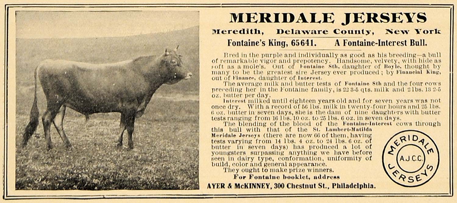 1907 Ad Meridale Jerseys Fontaine's King Ayer McKinney - ORIGINAL CL4