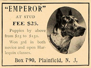 1907 Ad Harlequin Puppies Dogs Plainfield New Jersey - ORIGINAL ADVERTISING CL4