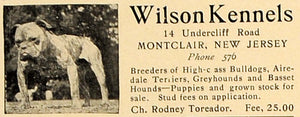 1906 Ad Wilson Kennels Bull Dogs Rodney Toreador Price - ORIGINAL CL4