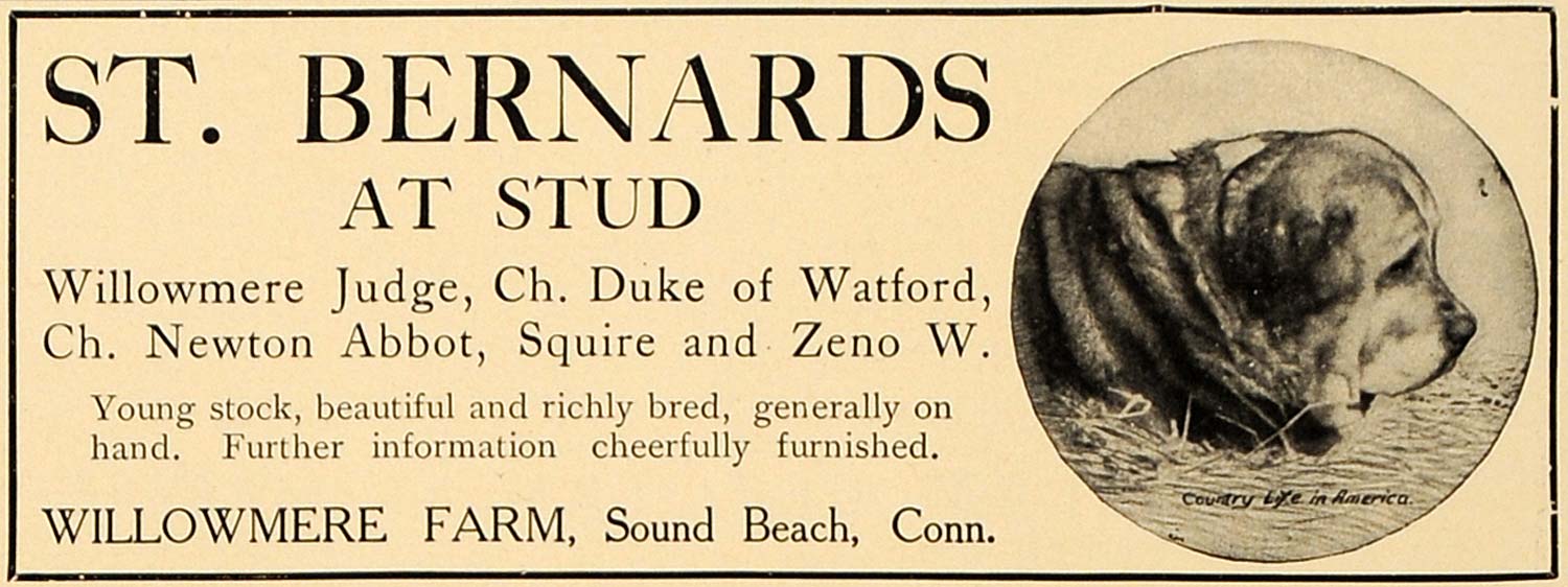 1906 Ad St. Bernard Dogs Willowmere Farm Sound Beach - ORIGINAL ADVERTISING CL4
