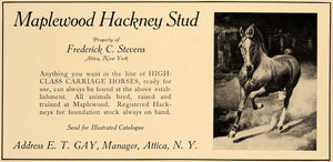 1907 Ad Maplewood Hackney Stud Frederick C. Stevens - ORIGINAL ADVERTISING CL4