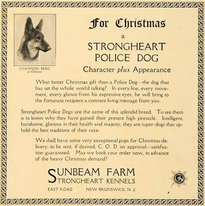 1923 Ad Champion Bero Police Dog Sunbeam Farm Kennel - ORIGINAL ADVERTISING CL4