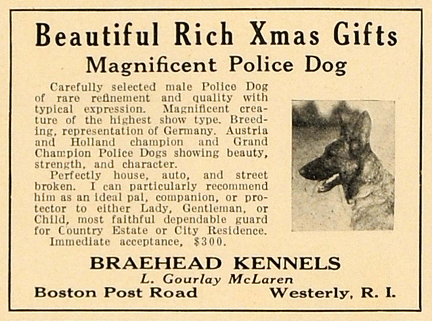 1923 Ad Police Dog Braehead Kennels L Gourlay McLaren - ORIGINAL ADVERTISING CL4