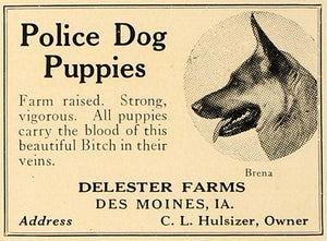 1923 Ad Police Dog Puppies Delester Farms C L Hulsizer - ORIGINAL CL4